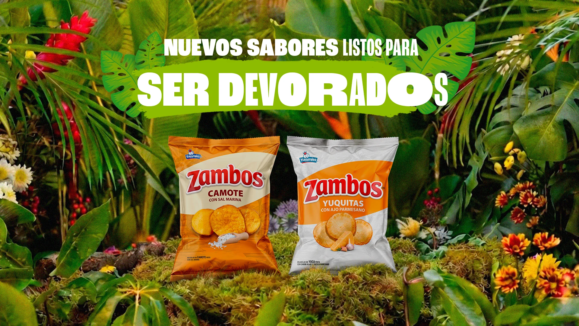 Zambos